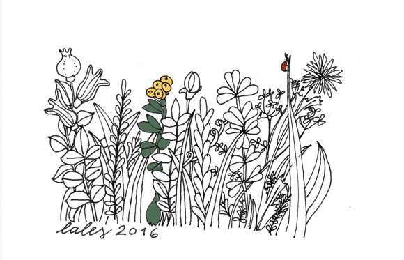 Alessandra Spada drawing meadow, prato